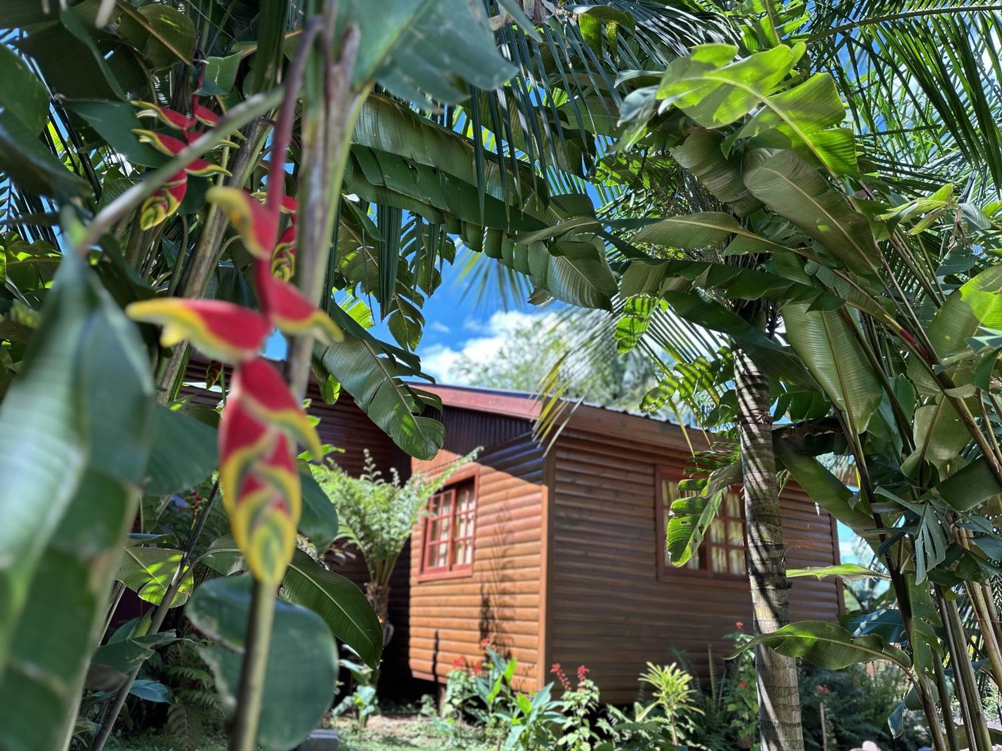 Terra Lodge Puerto Iguazu Exterior photo