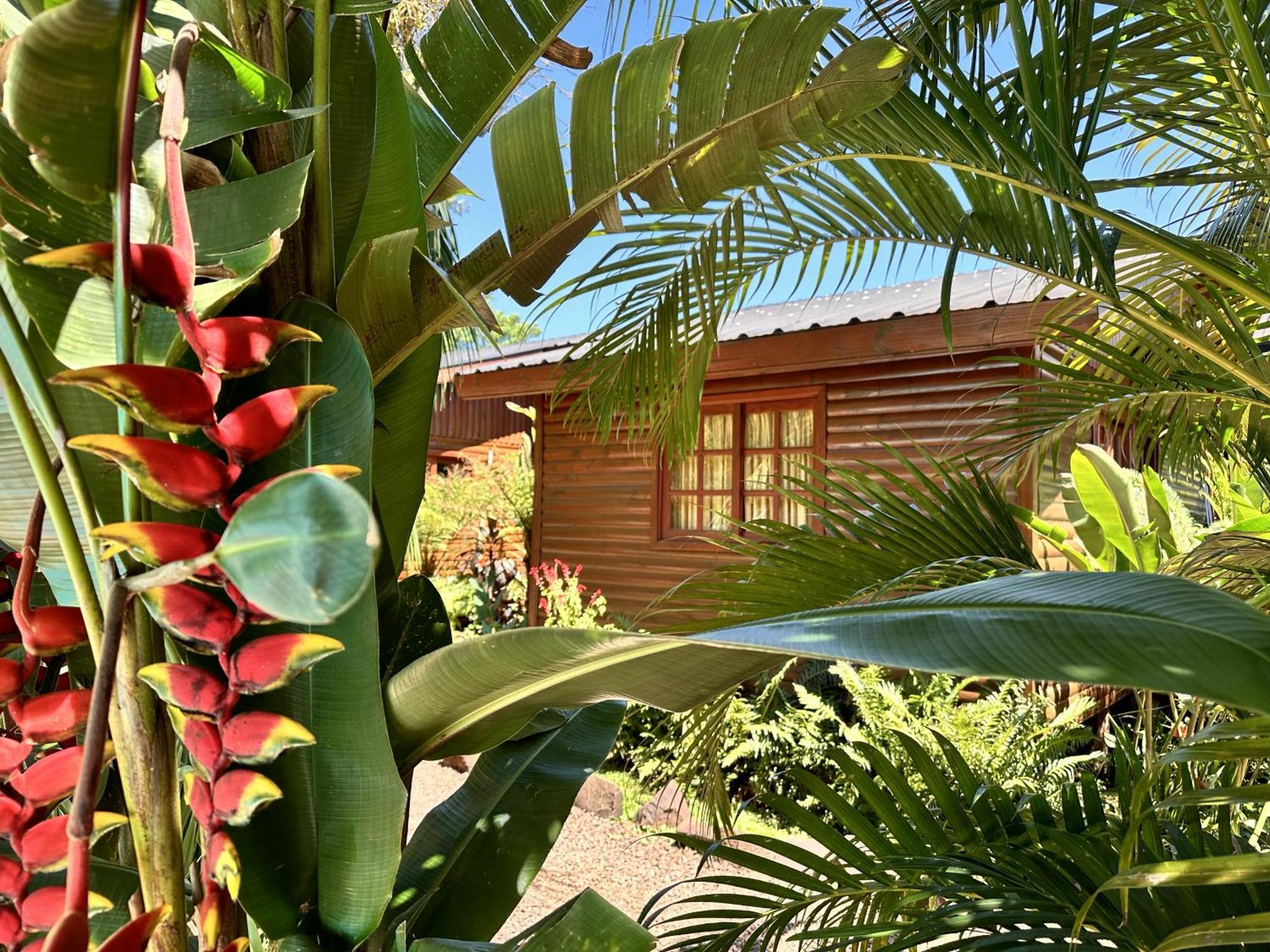 Terra Lodge Puerto Iguazu Exterior photo